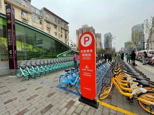 市城管局建议：明确共享单车监管职能分工
