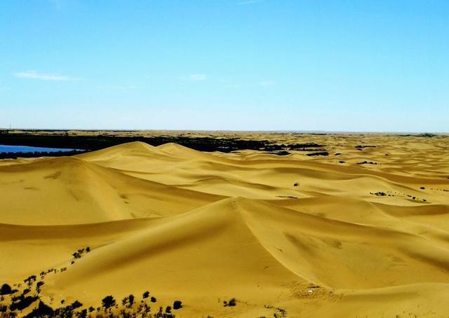新疆“沙漠经济”方兴未艾 多元化产业“点沙成金”