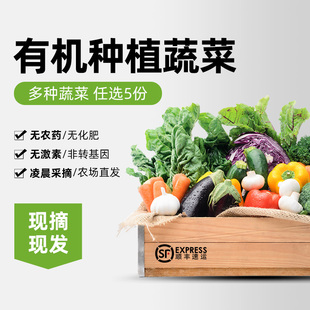 商业模式新生代商业模式定义_蔬菜配送公司_蔬菜配送商业模式